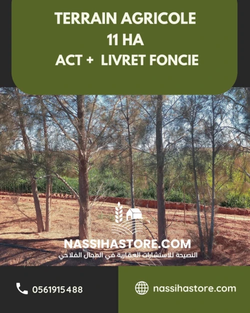 Vente Terrain Agricole Djelfa Ain oussara