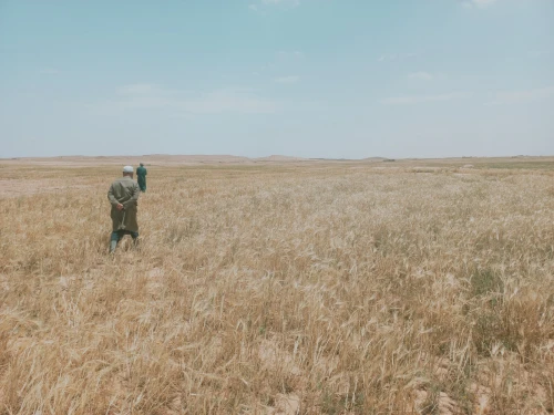 Vente Terrain Agricole Djelfa Djelfa