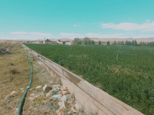 Vente Terrain Agricole Djelfa Djelfa