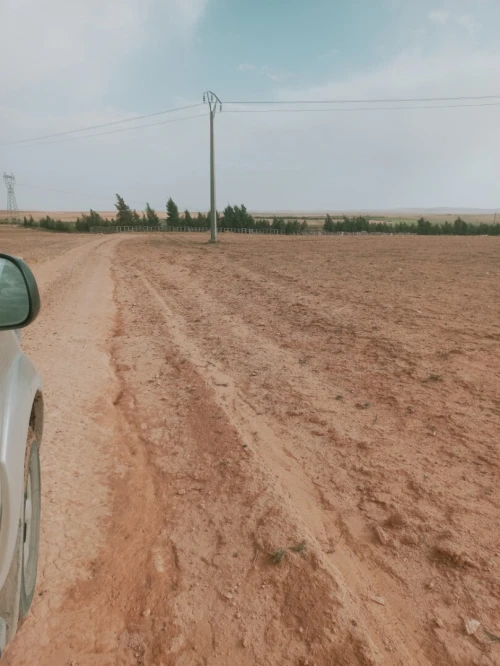 Vente Terrain Agricole Djelfa Djelfa