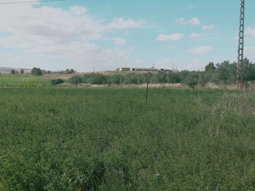 Vente Terrain Agricole Djelfa Djelfa