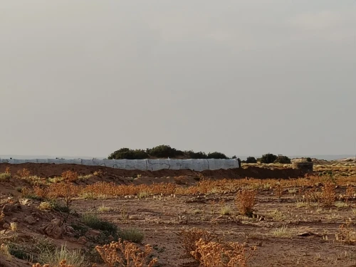 Vente Terrain Agricole Djelfa Zaafrane