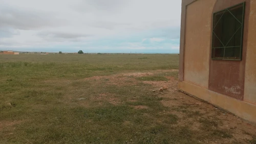 Vente Terrain Agricole Djelfa Hassi bahbah
