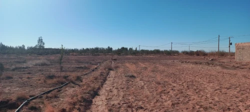 Vente Terrain Agricole Djelfa Djelfa