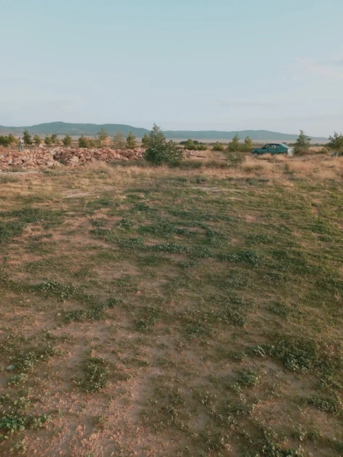 Vente Terrain Agricole Djelfa Djelfa