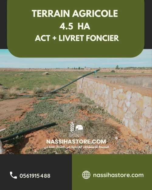 Vente Terrain Agricole Djelfa Djelfa