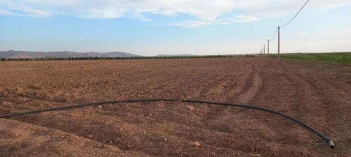 Vente Terrain Agricole Djelfa Bouira lahdab