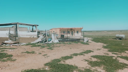 Vente Terrain Agricole Djelfa Had sahary