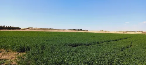 Vente Terrain Agricole Djelfa Djelfa