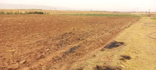 Vente Terrain Agricole Djelfa Djelfa