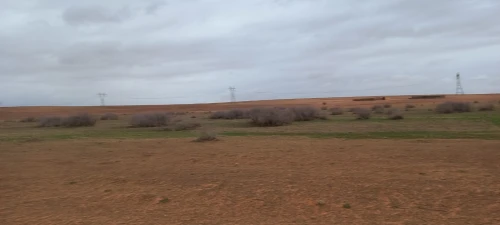 Vente Terrain Agricole Djelfa Ain oussara