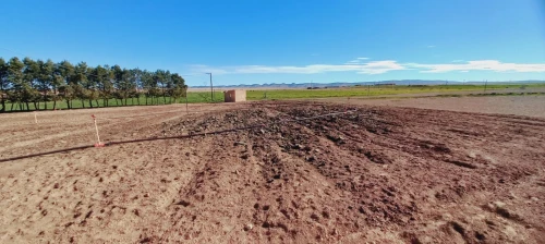 Vente Terrain Agricole Djelfa Ain oussara