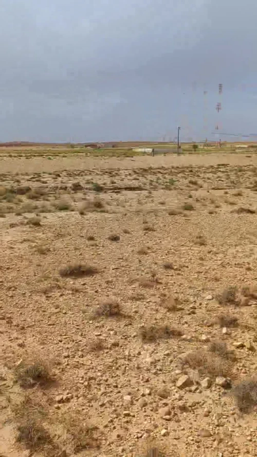 Vente Terrain Agricole Djelfa Djelfa 5