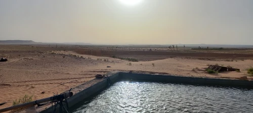 Vente Terrain Agricole Djelfa Djelfa