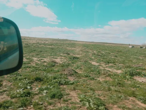 Vente Terrain Agricole Djelfa Birine