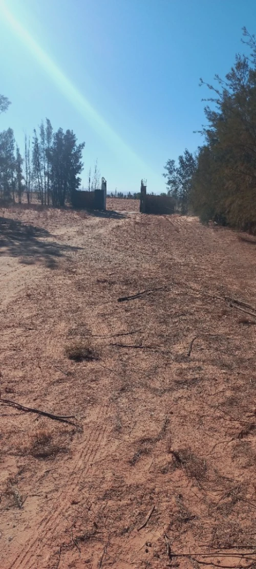Vente Terrain Agricole Djelfa Djelfa