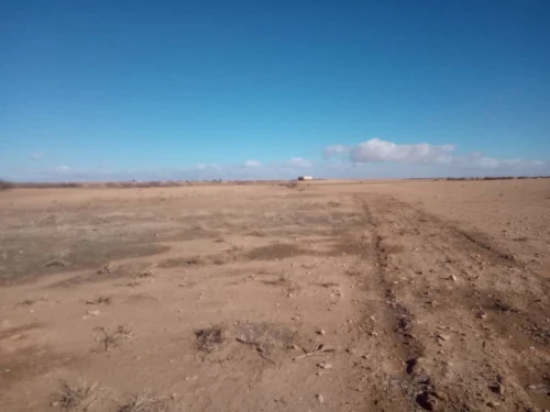 Vente Terrain Agricole Djelfa Ain oussara