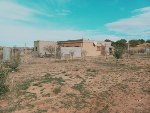 Vente Terrain Agricole Djelfa Djelfa