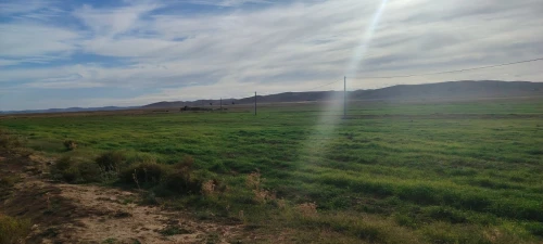 Vente Terrain Agricole Djelfa Djelfa