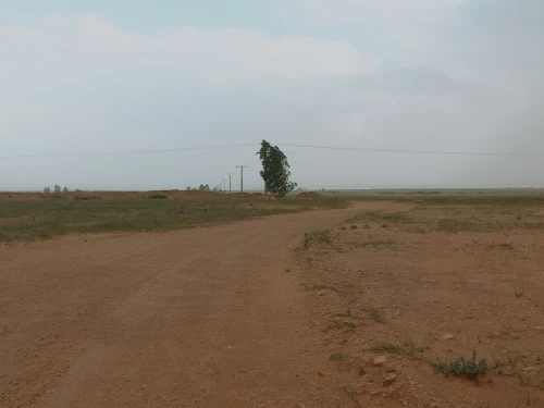 Vente Terrain Agricole Djelfa Hassi bahbah