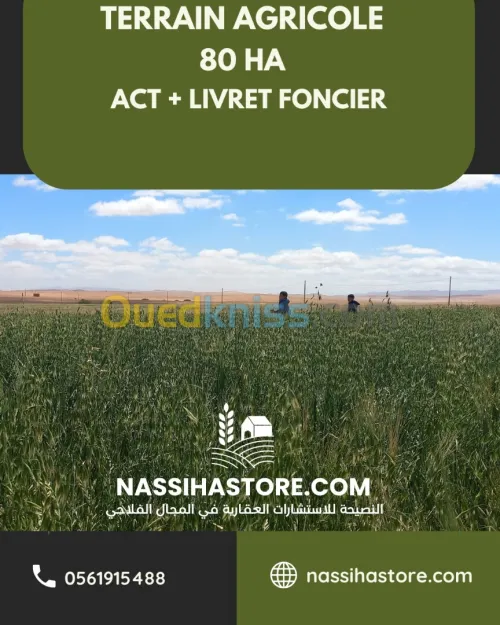Vente Terrain Agricole Djelfa Djelfa
