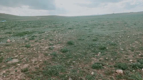 Vente Terrain Agricole Djelfa Djelfa