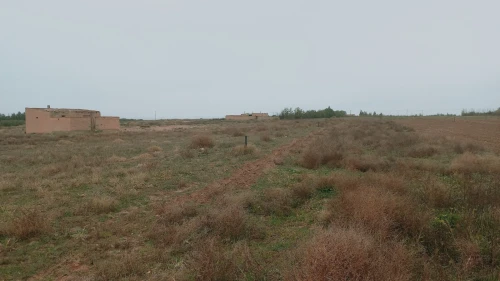 Vente Terrain Agricole Djelfa Ain oussara