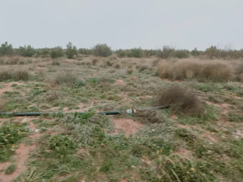 Vente Terrain Agricole Djelfa Ain oussara