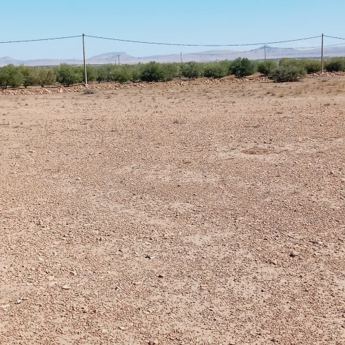 Vente Terrain Agricole Djelfa Ain oussara