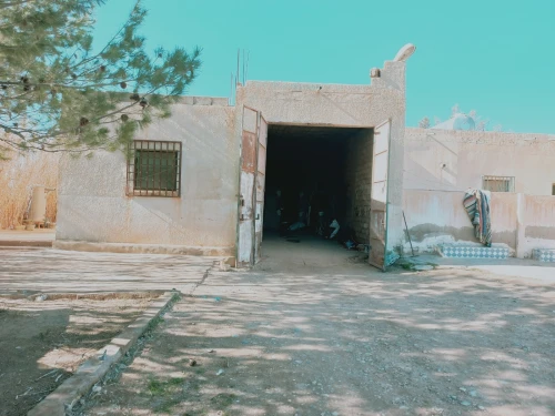 Vente Terrain Agricole Djelfa Dar chioukh