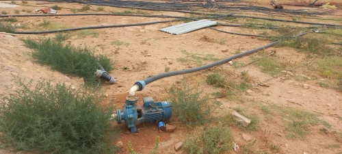 Vente Terrain Agricole Djelfa Djelfa