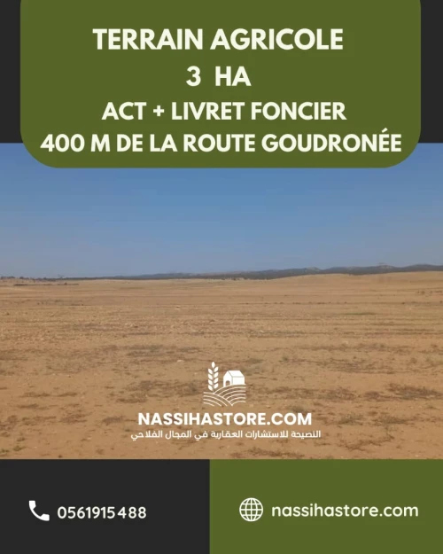 Vente Terrain Agricole Djelfa Djelfa
