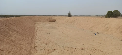 Vente Terrain Agricole Djelfa Ain oussara
