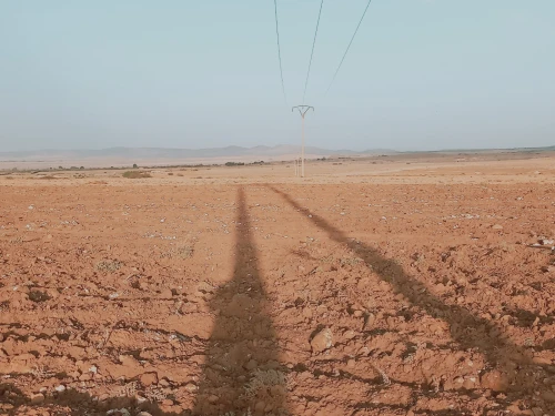 Vente Terrain Agricole Djelfa Djelfa
