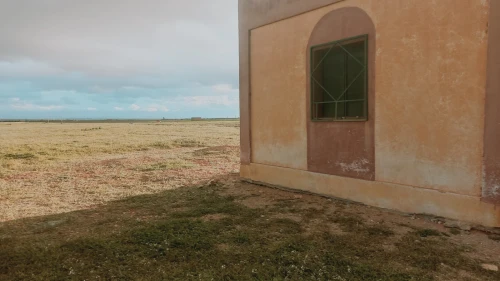 Vente Terrain Agricole Djelfa Hassi bahbah