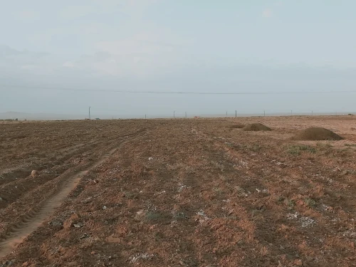 Vente Terrain Agricole Djelfa Djelfa