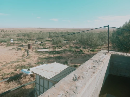 Vente Terrain Agricole Djelfa Ain oussara