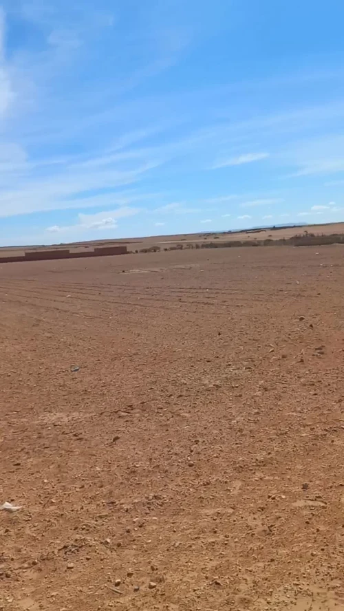 Vente Terrain Agricole Djelfa Birine 13