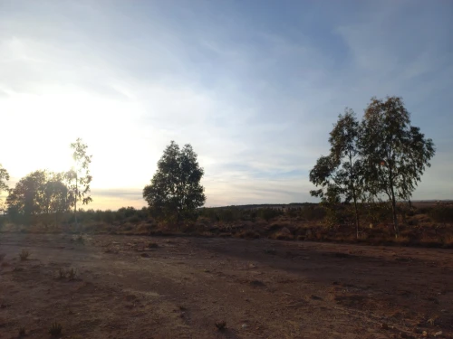 Vente Terrain Agricole Djelfa Djelfa