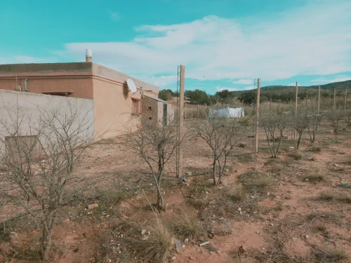 Vente Terrain Agricole Djelfa Djelfa