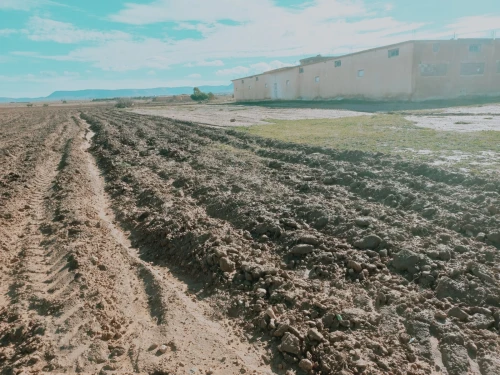 Vente Terrain Agricole Djelfa Had sahary