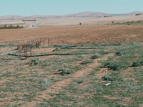 Vente Terrain Agricole Djelfa Dar chioukh