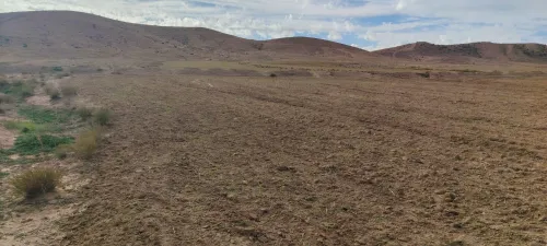 Vente Terrain Agricole Djelfa Djelfa