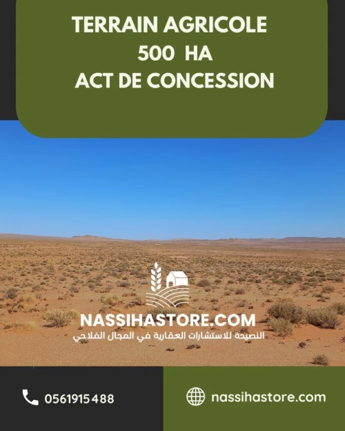 Vente Terrain Agricole Djelfa Messad