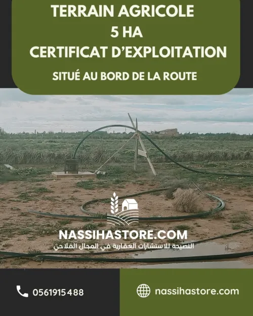 Vente Terrain Agricole Djelfa Hassi bahbah