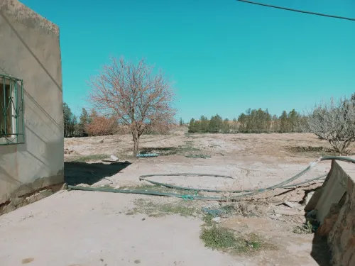Vente Terrain Agricole Djelfa Dar chioukh