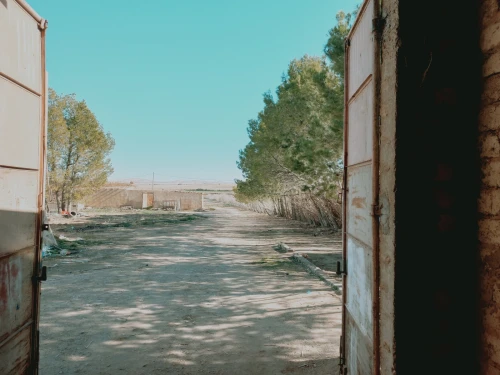 Vente Terrain Agricole Djelfa Dar chioukh