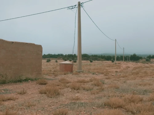 Vente Terrain Agricole Djelfa Djelfa