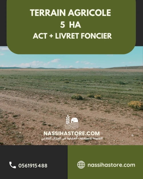Vente Terrain Agricole Djelfa Djelfa