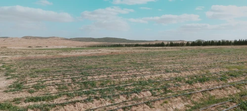 Vente Terrain Agricole Djelfa Djelfa